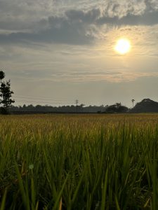 เรียนรู้วิธีการสร้างงานวิจัยที่ประสบความสำเร็จในวิทยานิพนธ์